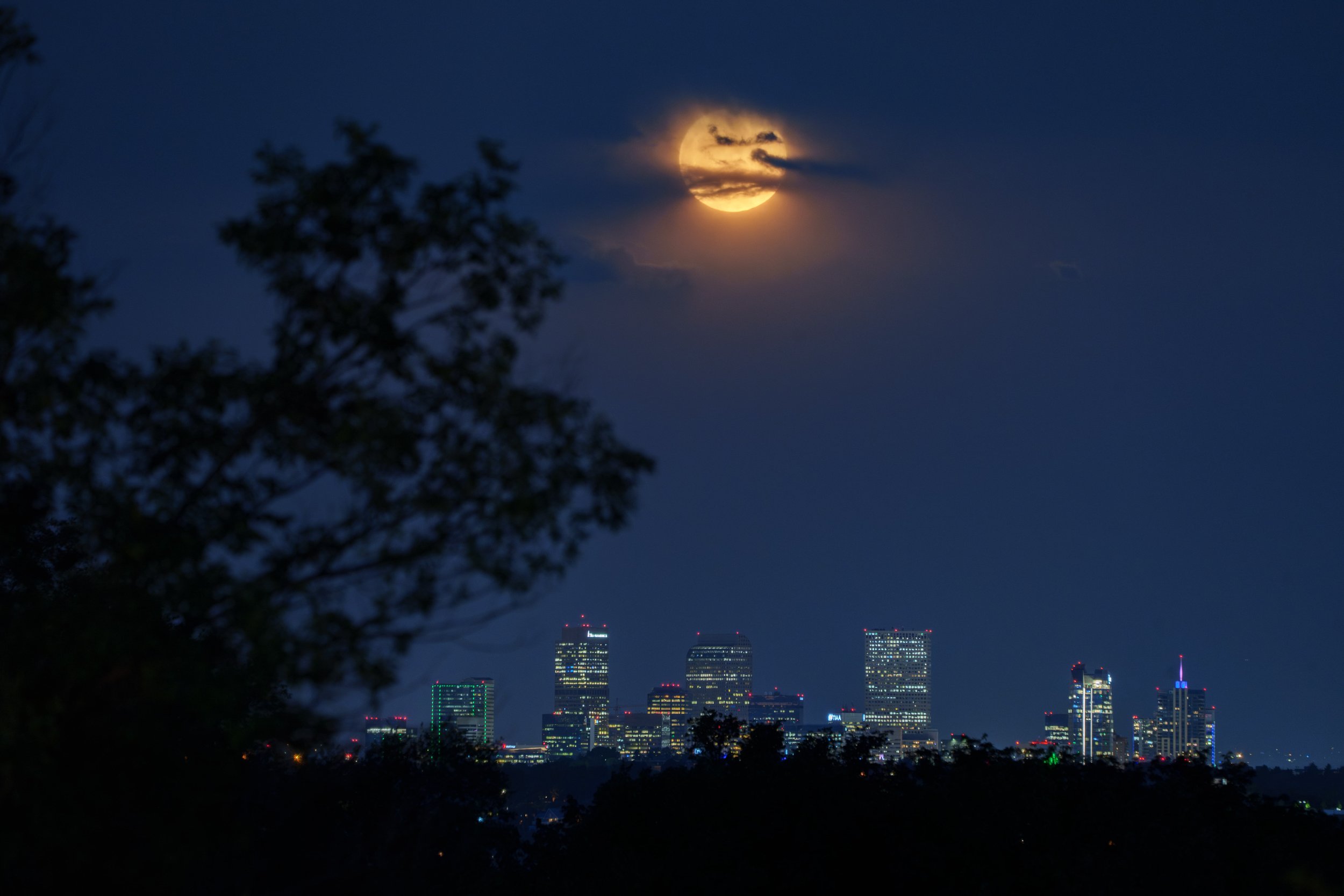 A7400502-Enhanced-NR-min.jpg