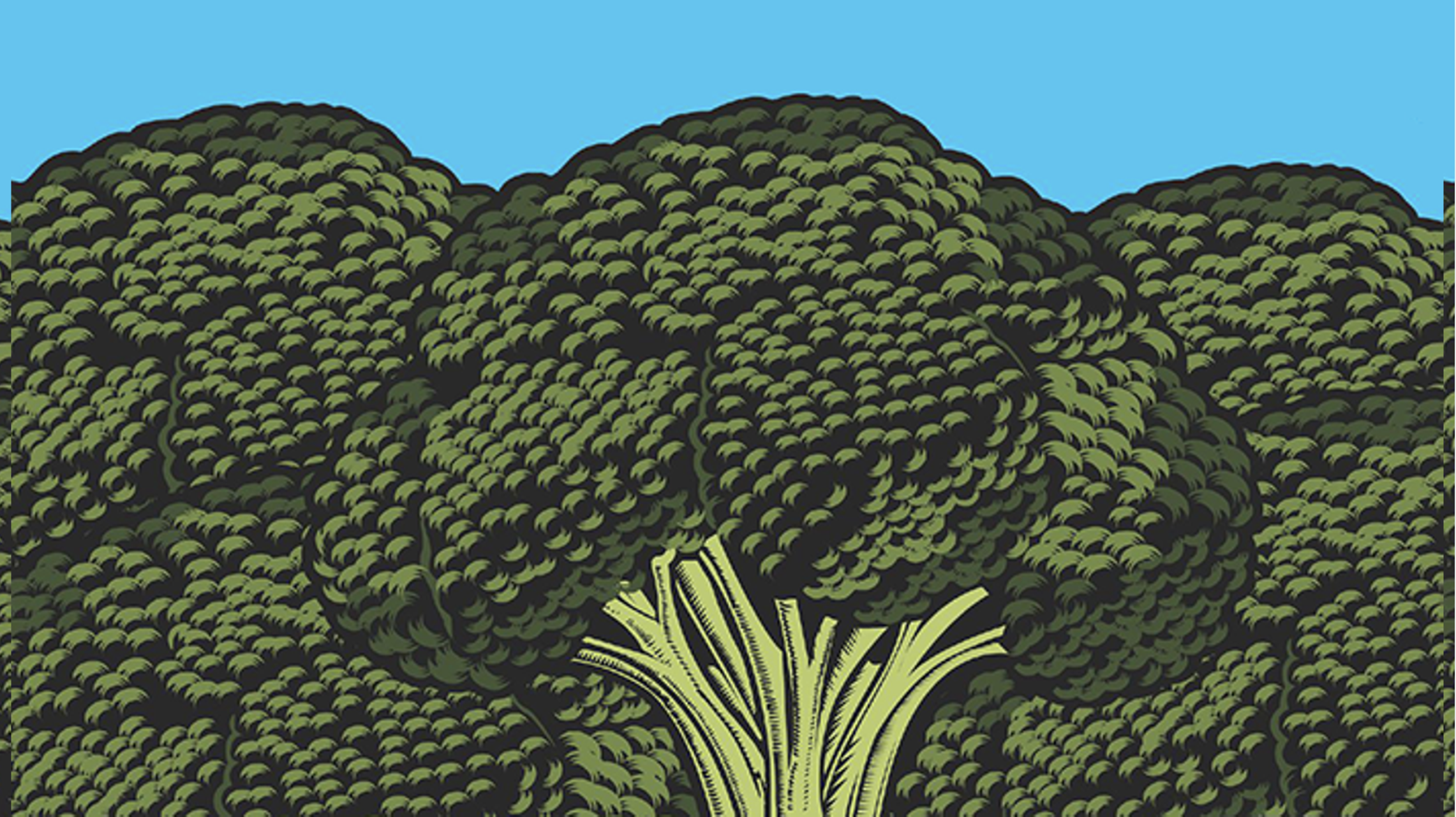 Who Was The First Rapper To Refer To Weed As ”Broccoli”?