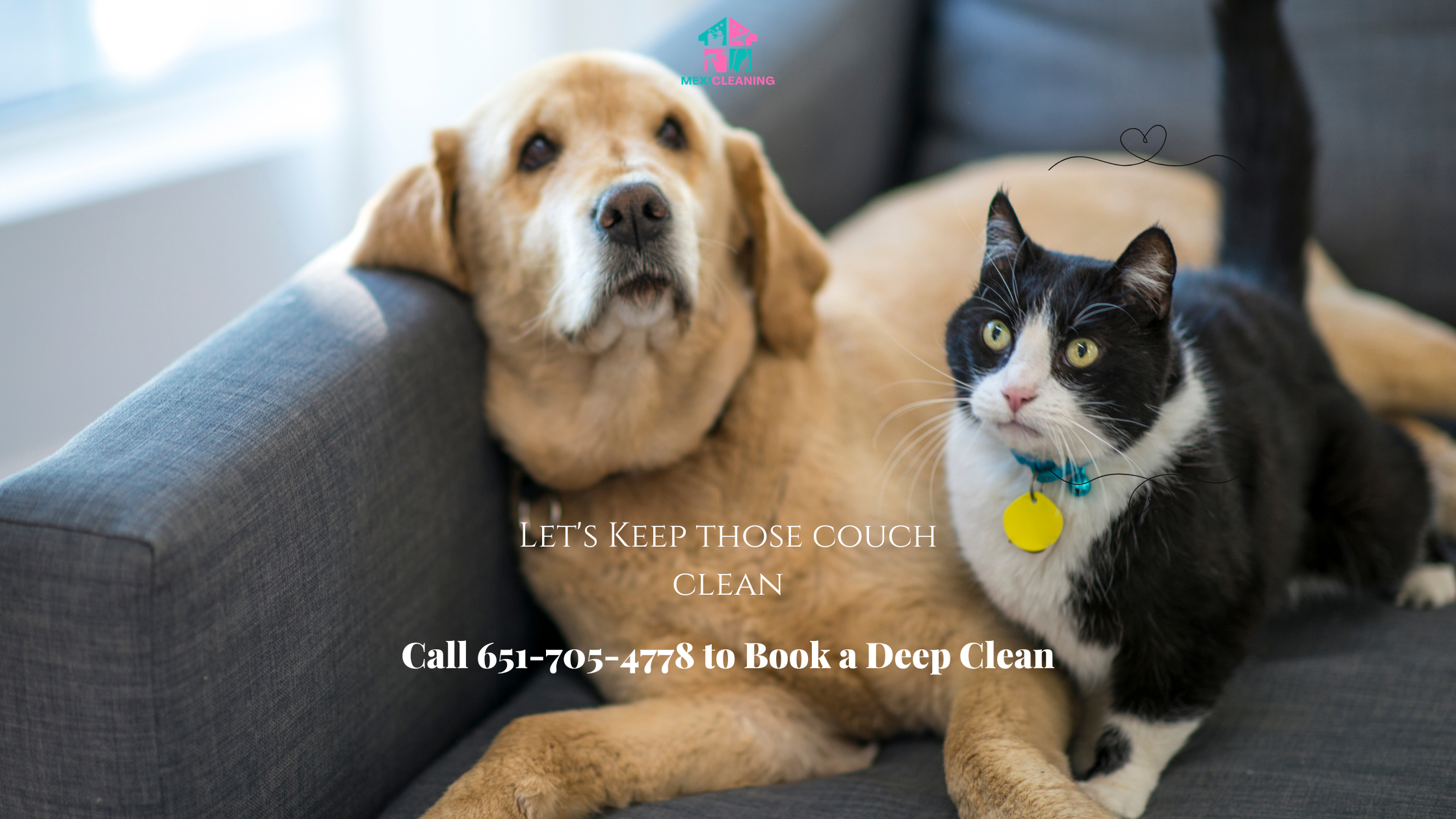 Upholstery Cleaning Tips for Pet Owners