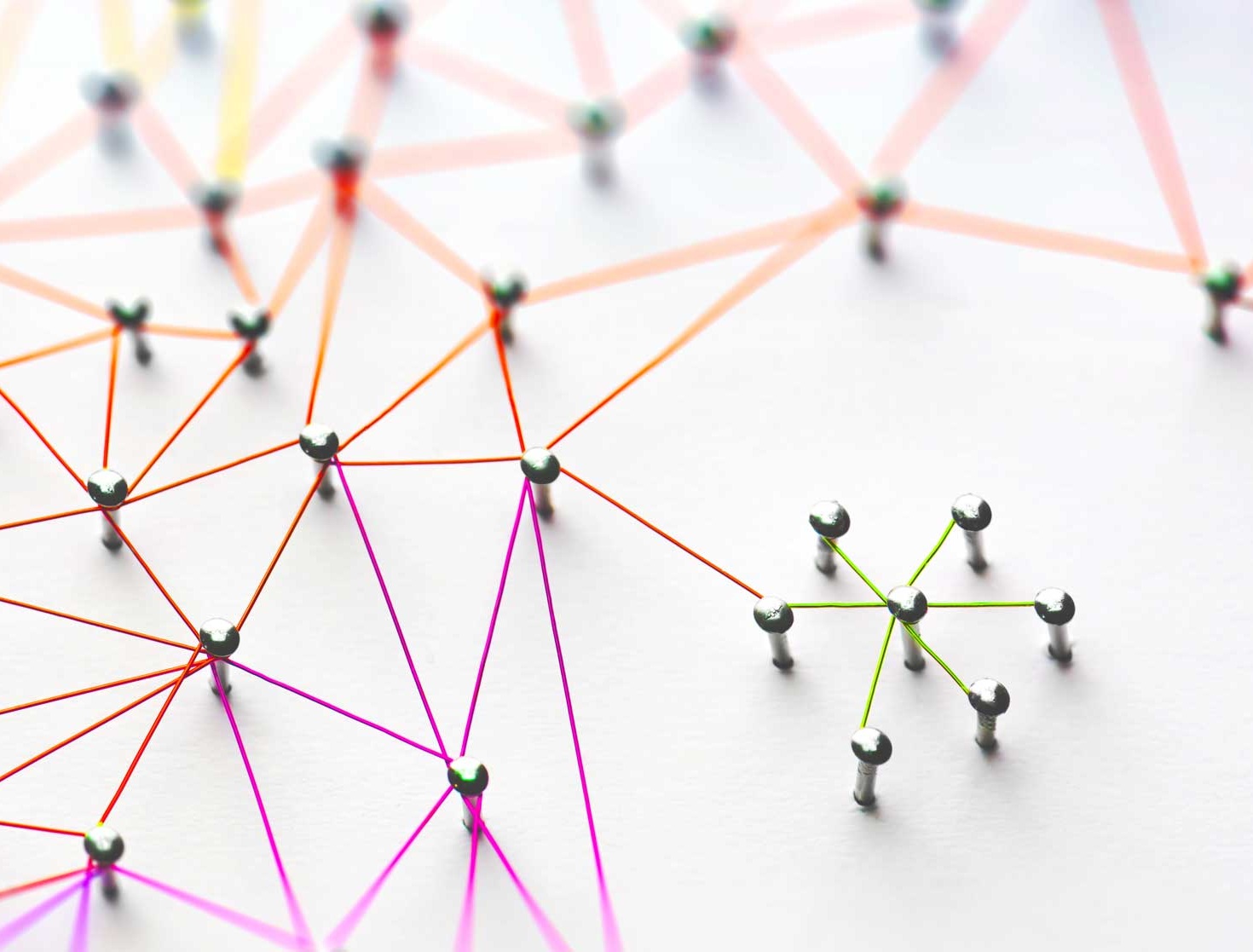 MakingConnections.jpg