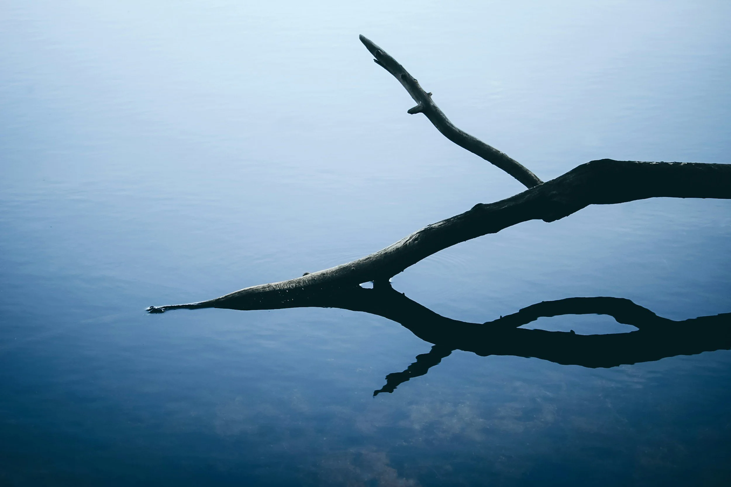 The Parents and Teens Technology and Relationships (PATTER)