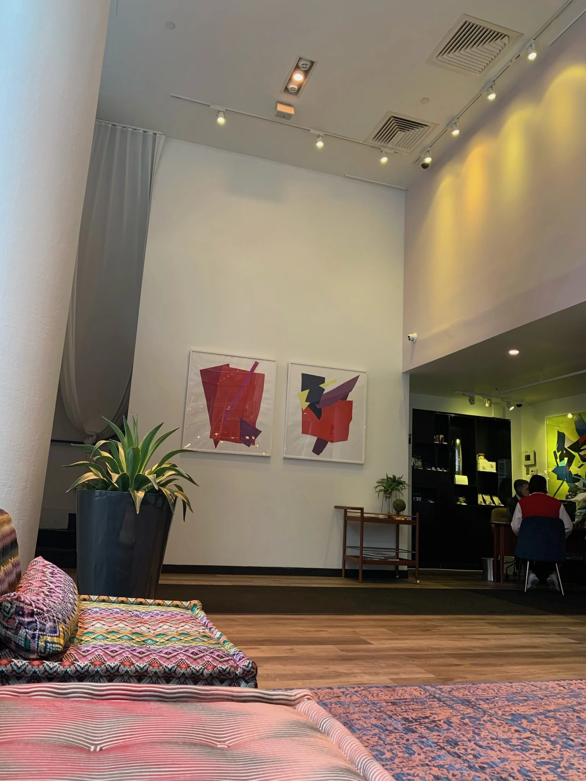 Interior of a modern lounge or cafe with abstract artwork on the wall, large potted plant, patterned cushions, a little table with a small plant, and people sitting at a table in the background.
