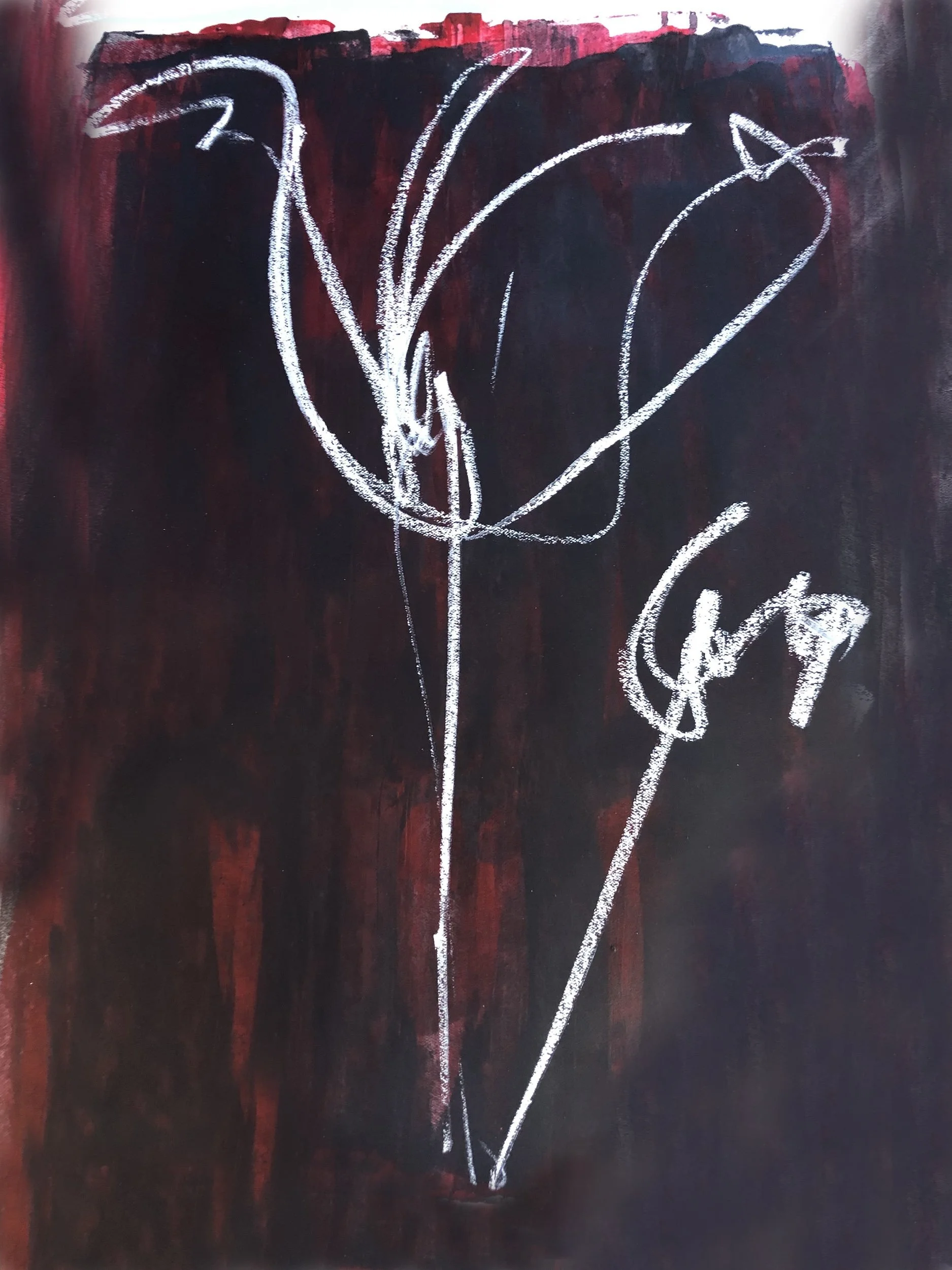A chalk drawing of a tulip flower on a dark red and black background.