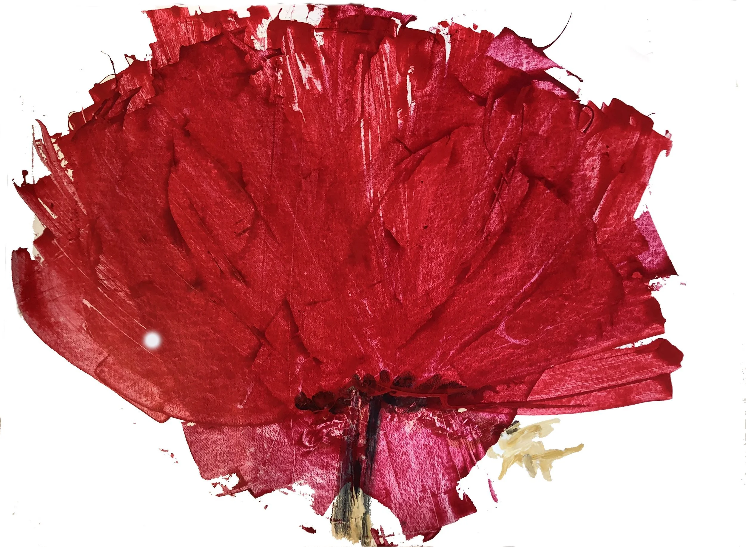 A painted red poppy flower with black center on white background.