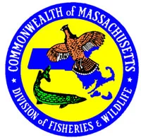 dfwSeal.jpg
