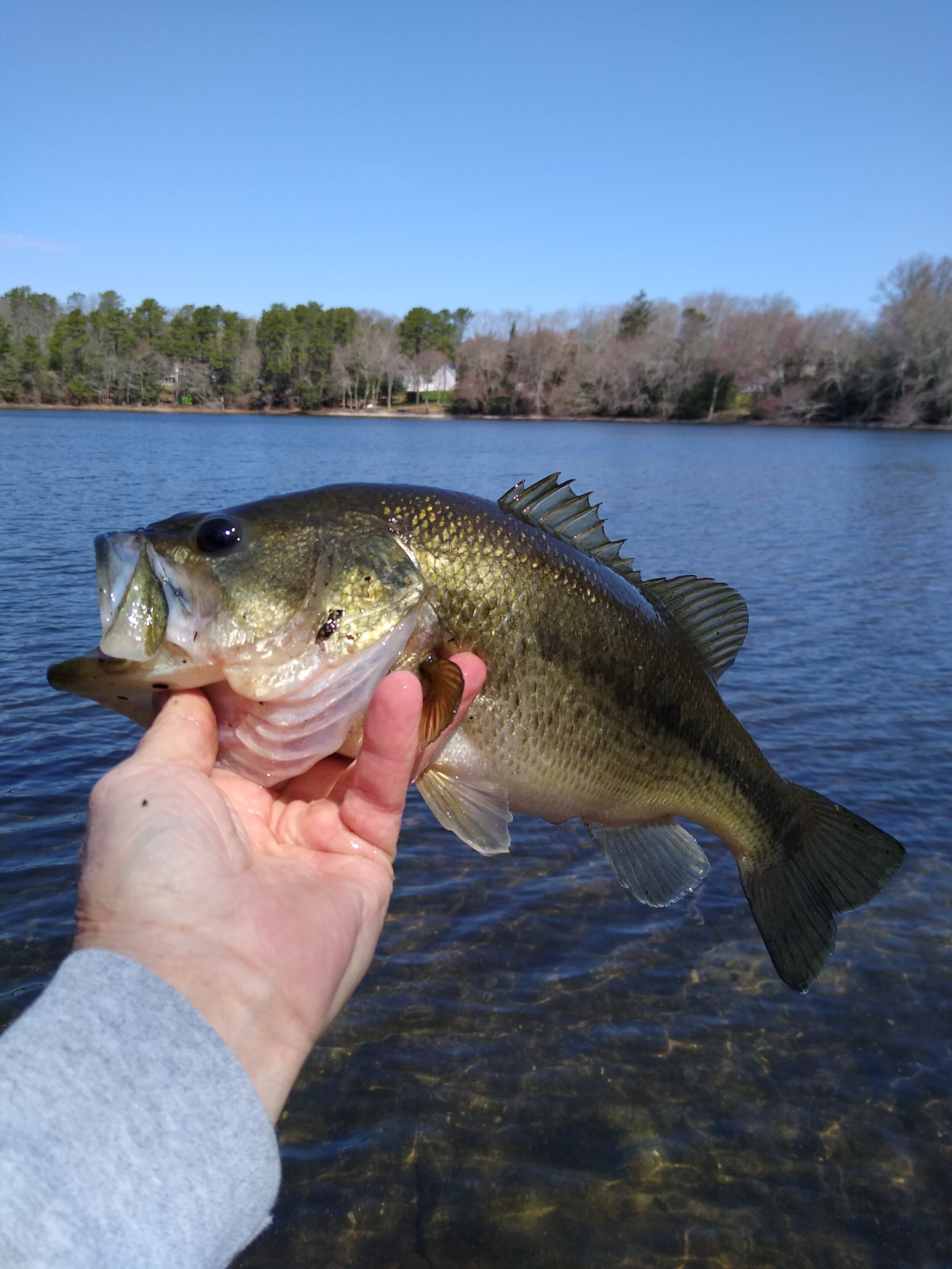 Pre-Freeze Largemouth Bonanza - In-Fisherman