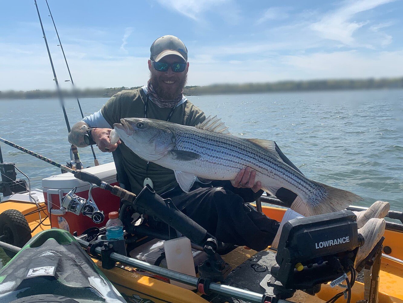 striped bass — Cape Cod Fishing Reports - Sports Port Bait and Tackle —  Sports Port