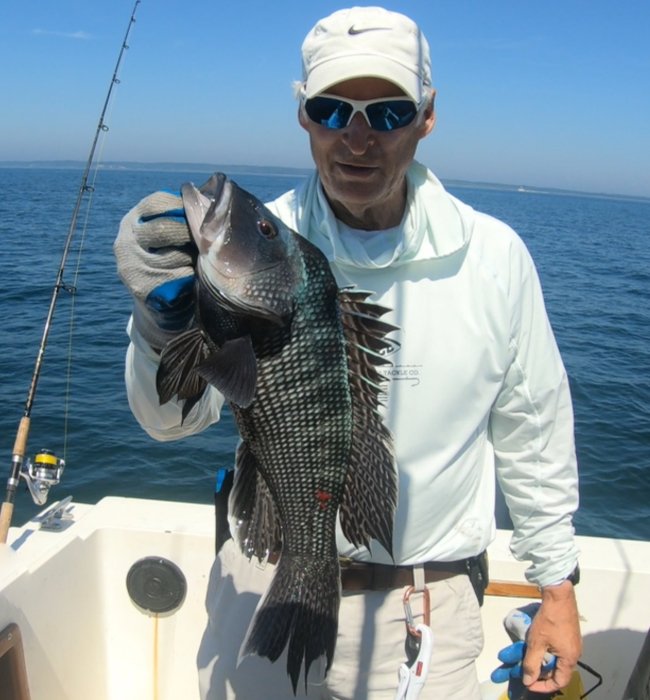 Cape Cod diversity of fishing opportunities part II — Sports Port