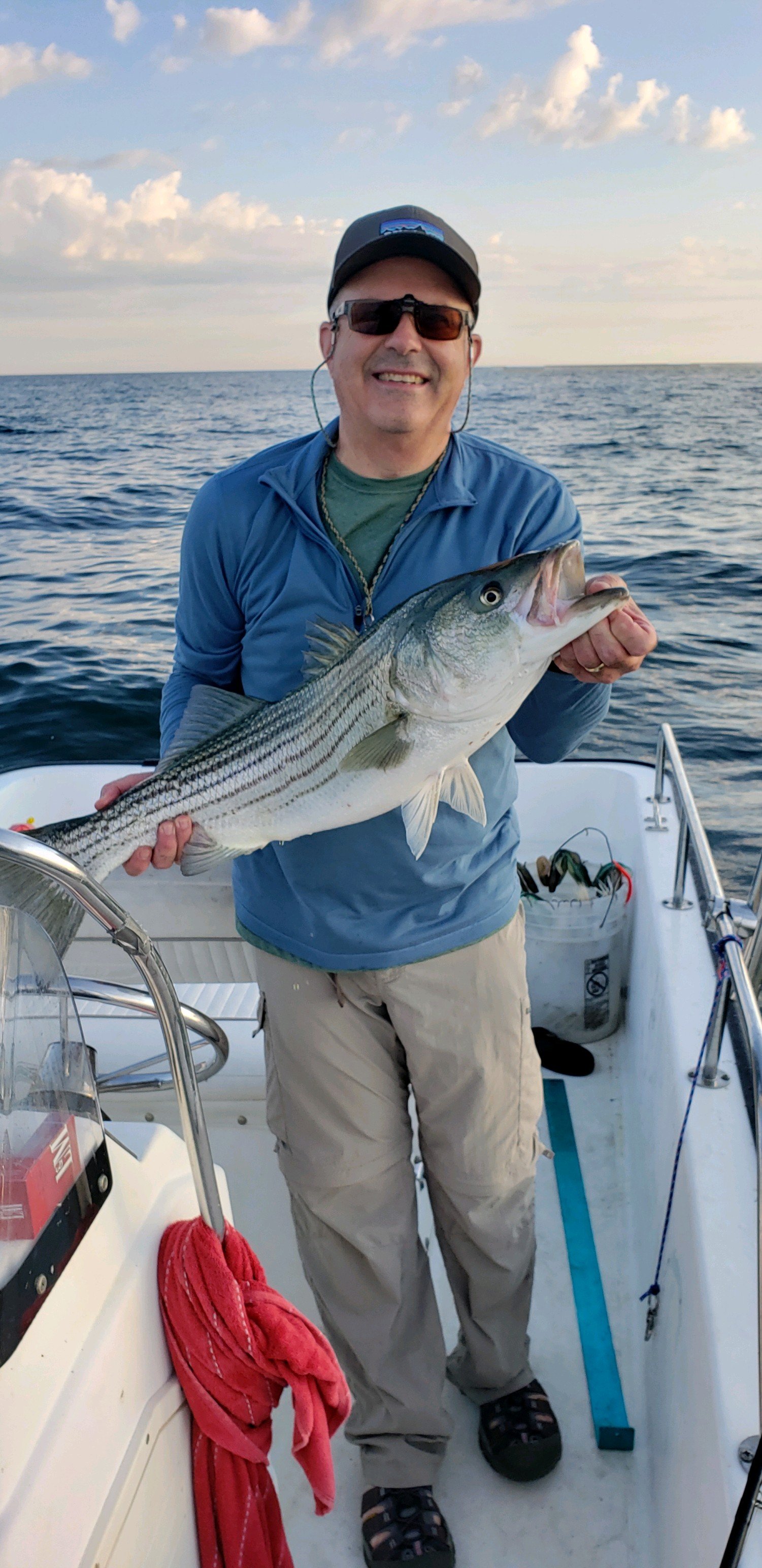 striped bass — Cape Cod Fishing Reports - Sports Port Bait and