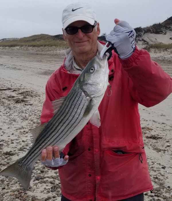 Fishing Cape Cod's Canal and beaches in the Fall — Sports Port