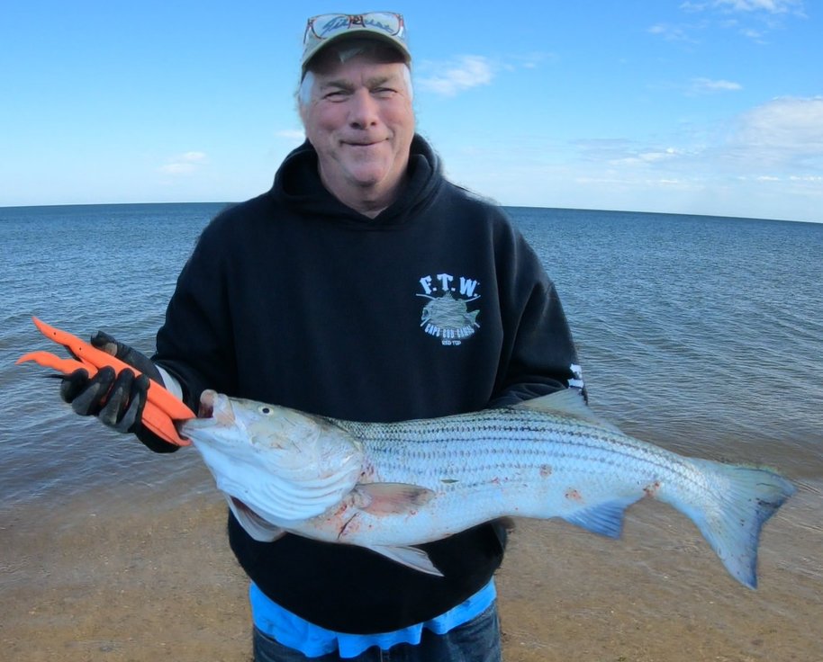 Fishing Cape Cod's Canal and beaches in the Fall — Sports Port