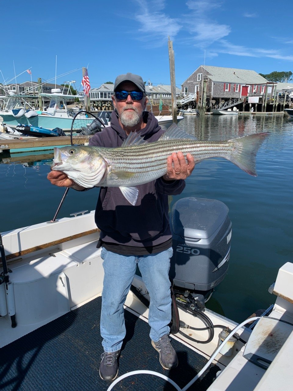 Cape Cod Fishing Reports - Sports Port Bait and Tackle — Sports Port