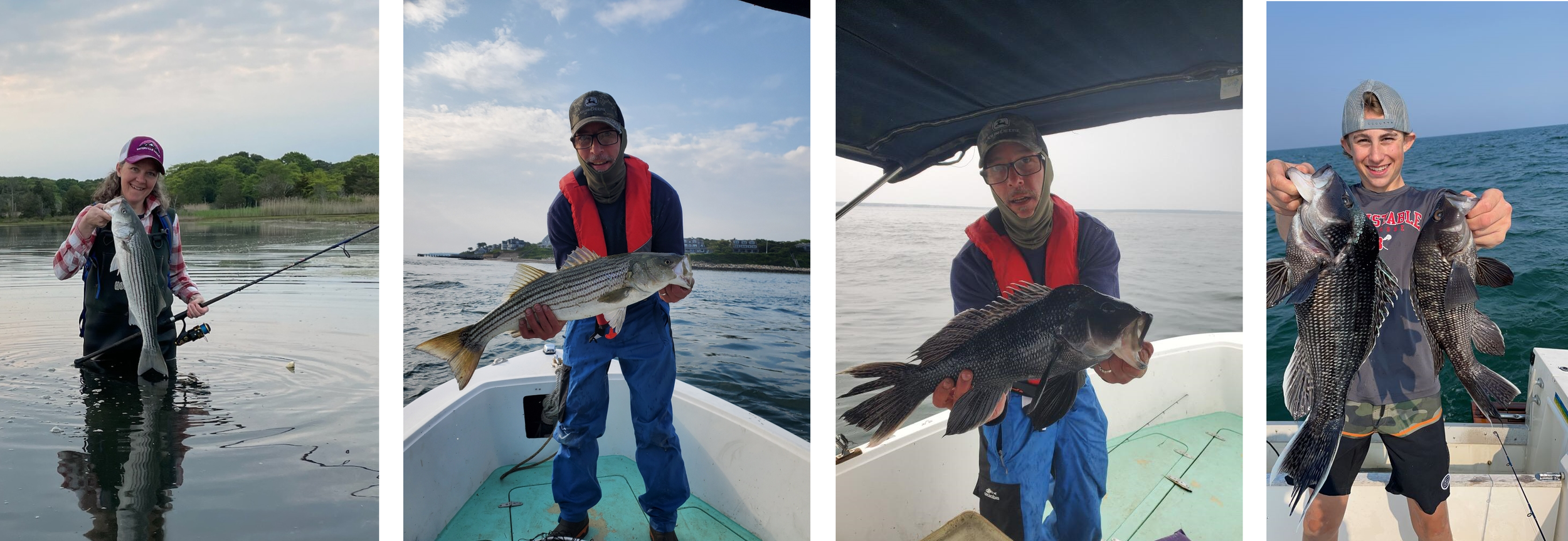 Salt water — Cape Cod Fishing Reports - Sports Port Bait and