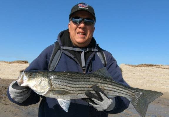 Squid, Tautog and a few Striped Bass — Sports Port