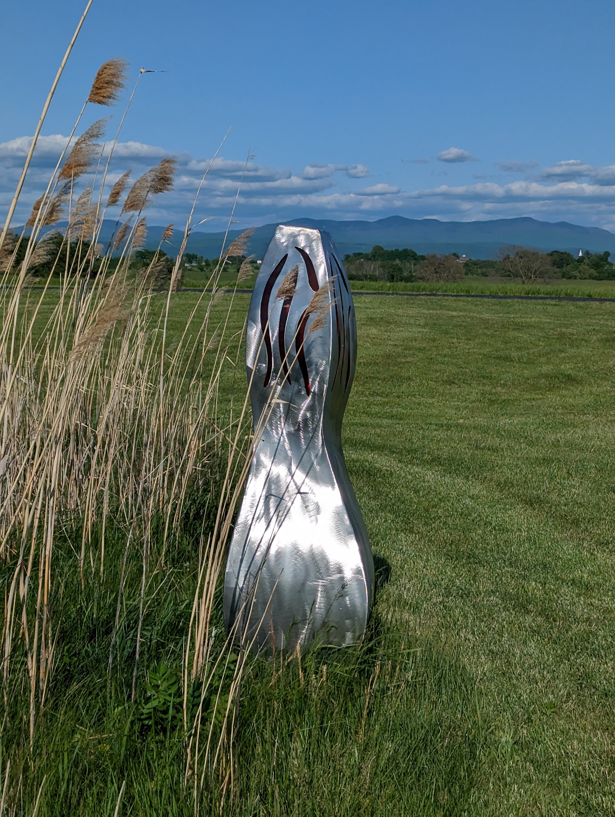Testa Rosa Stainless steel 60" t x 16" w x 16" d
$3,500