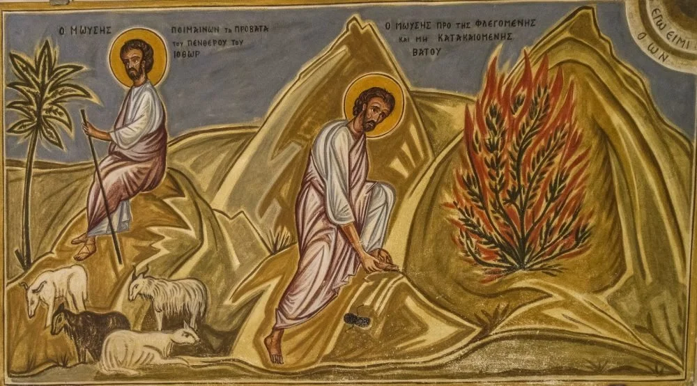 "I Am" : An Advent Reflection