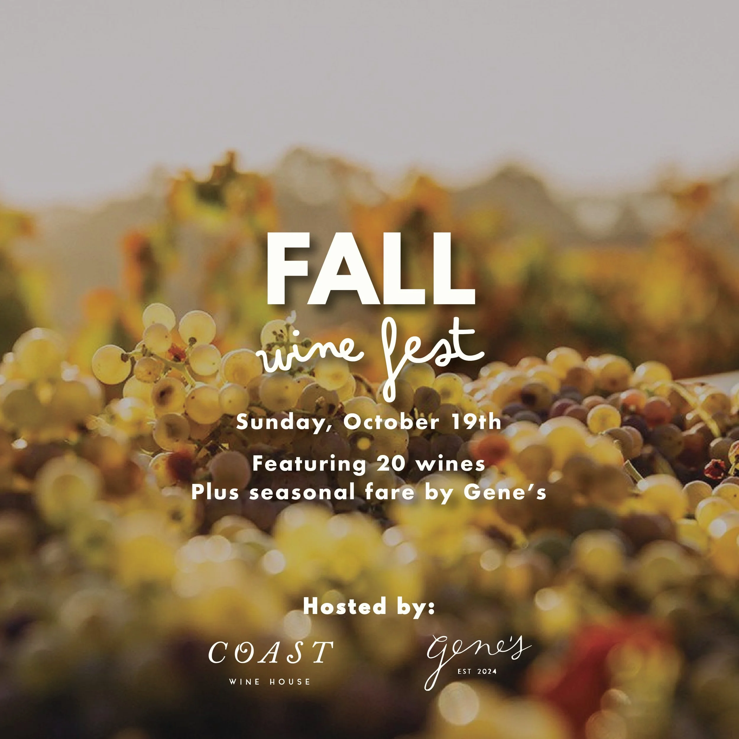 Fall Wine Fest