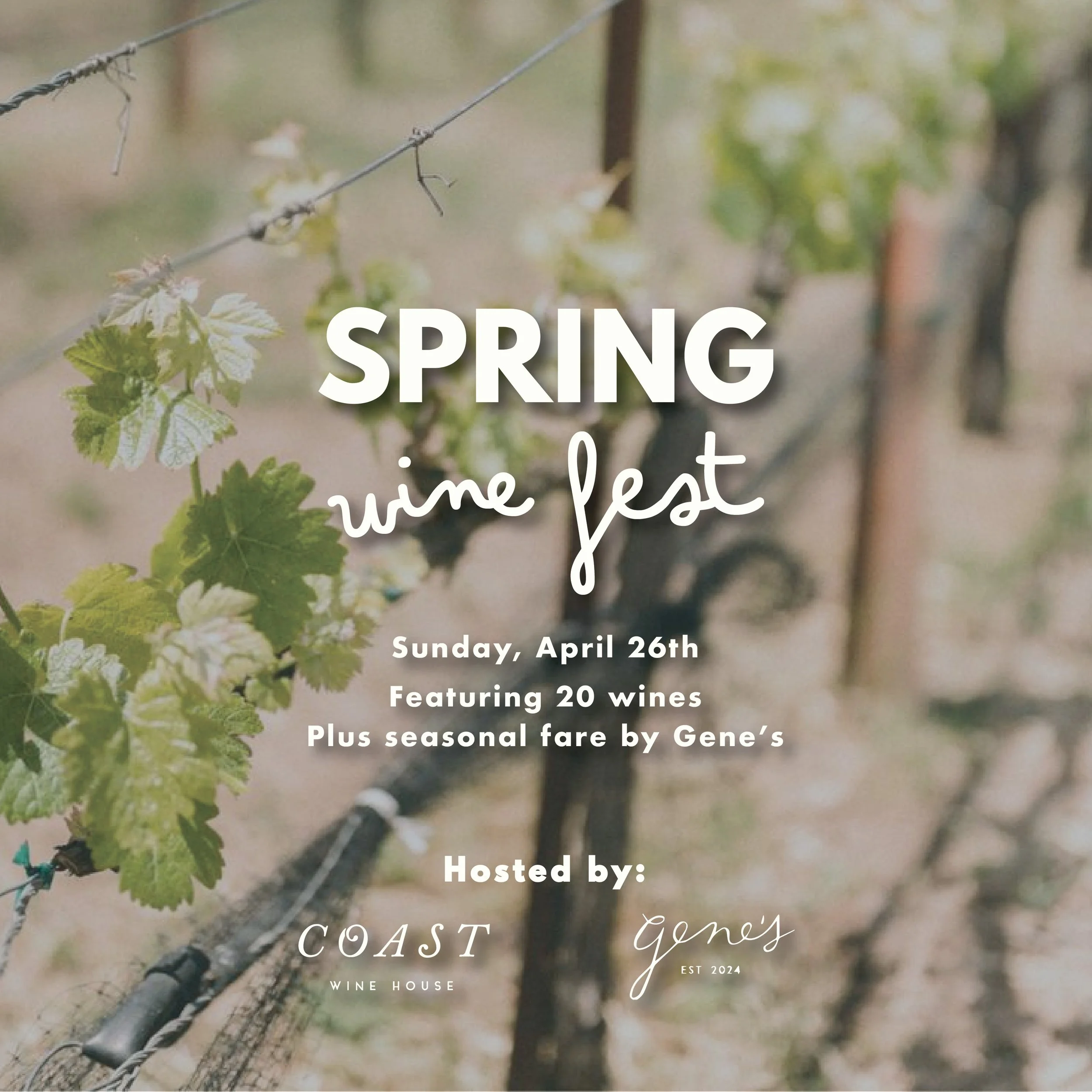 Spring Wine Fest