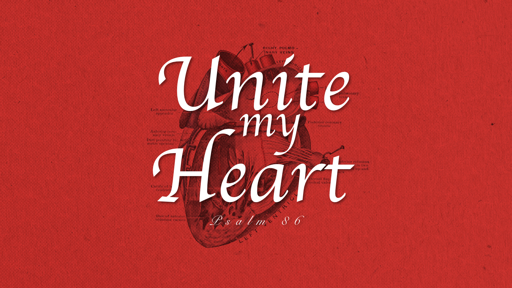 Unite My Heart
