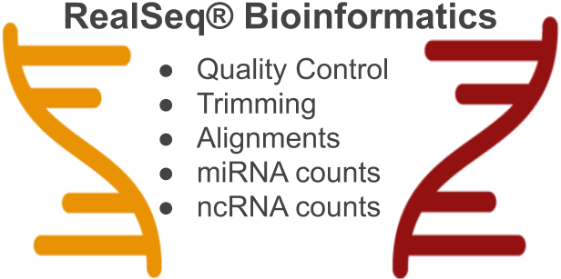 Bioinformatics Service.png