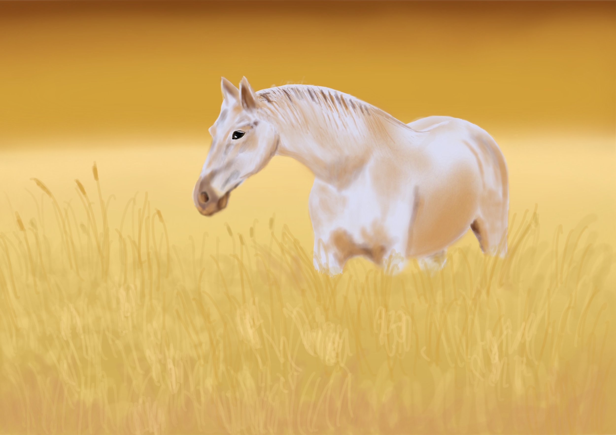 Horse-Meadow.jpg