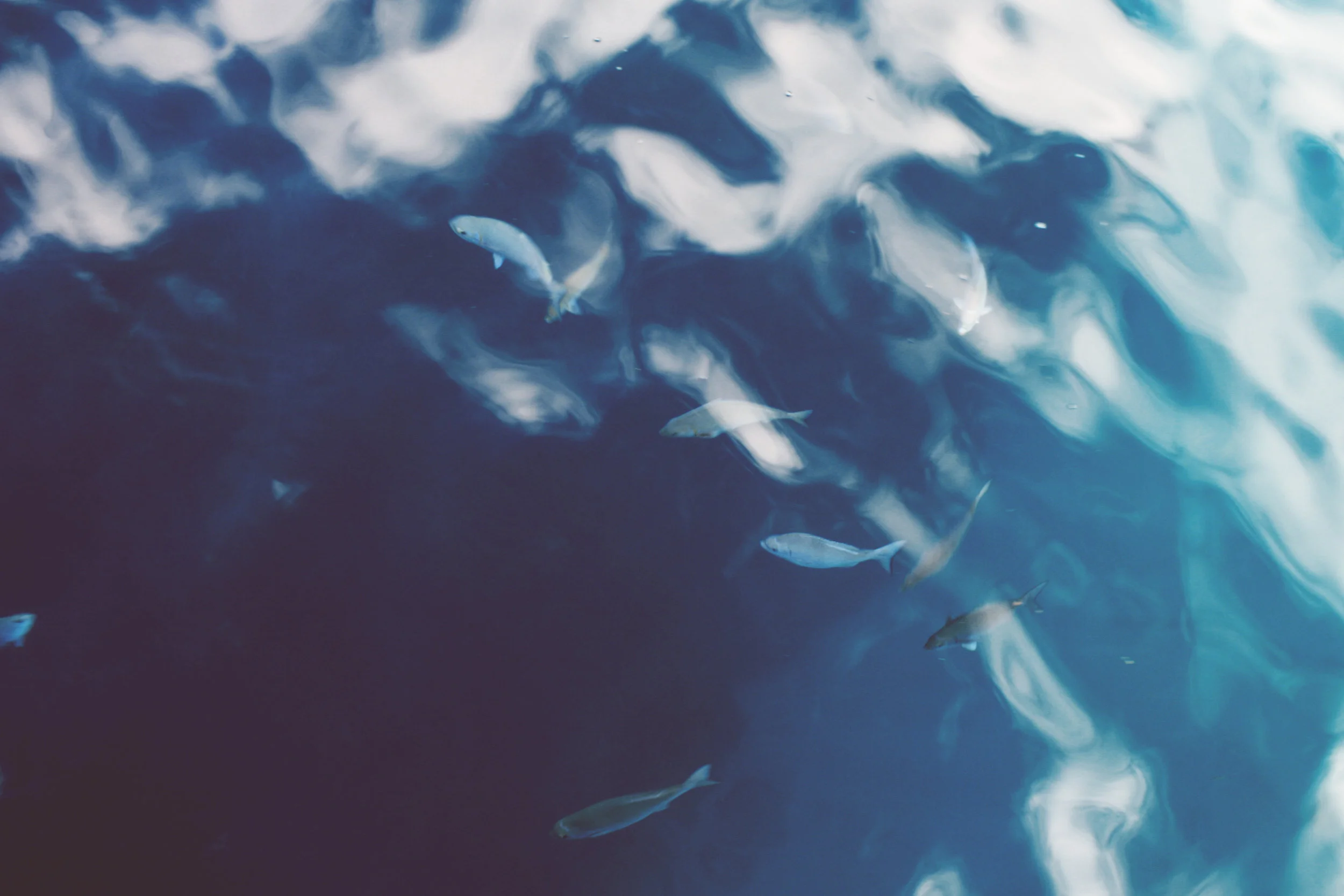 fishinpond.jpg