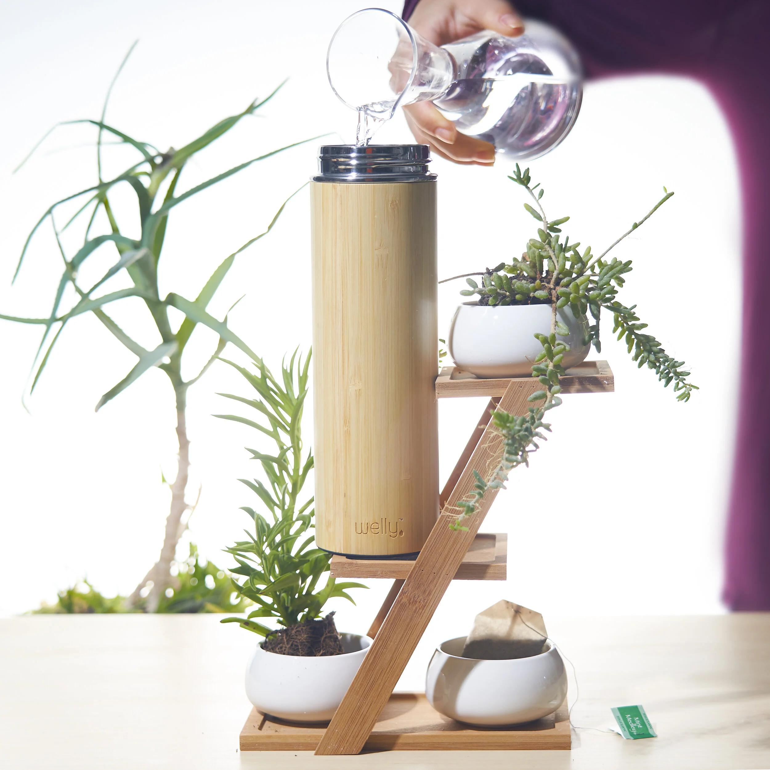 LBB-Welly-Plantstand-Sq.jpg
