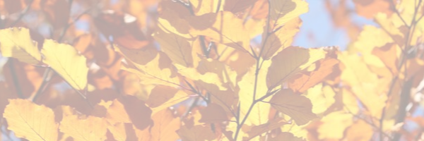 DHS Fall website banner.png