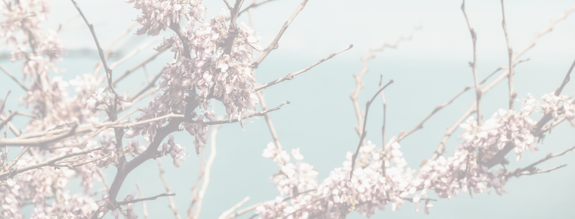 website banner - spring.png