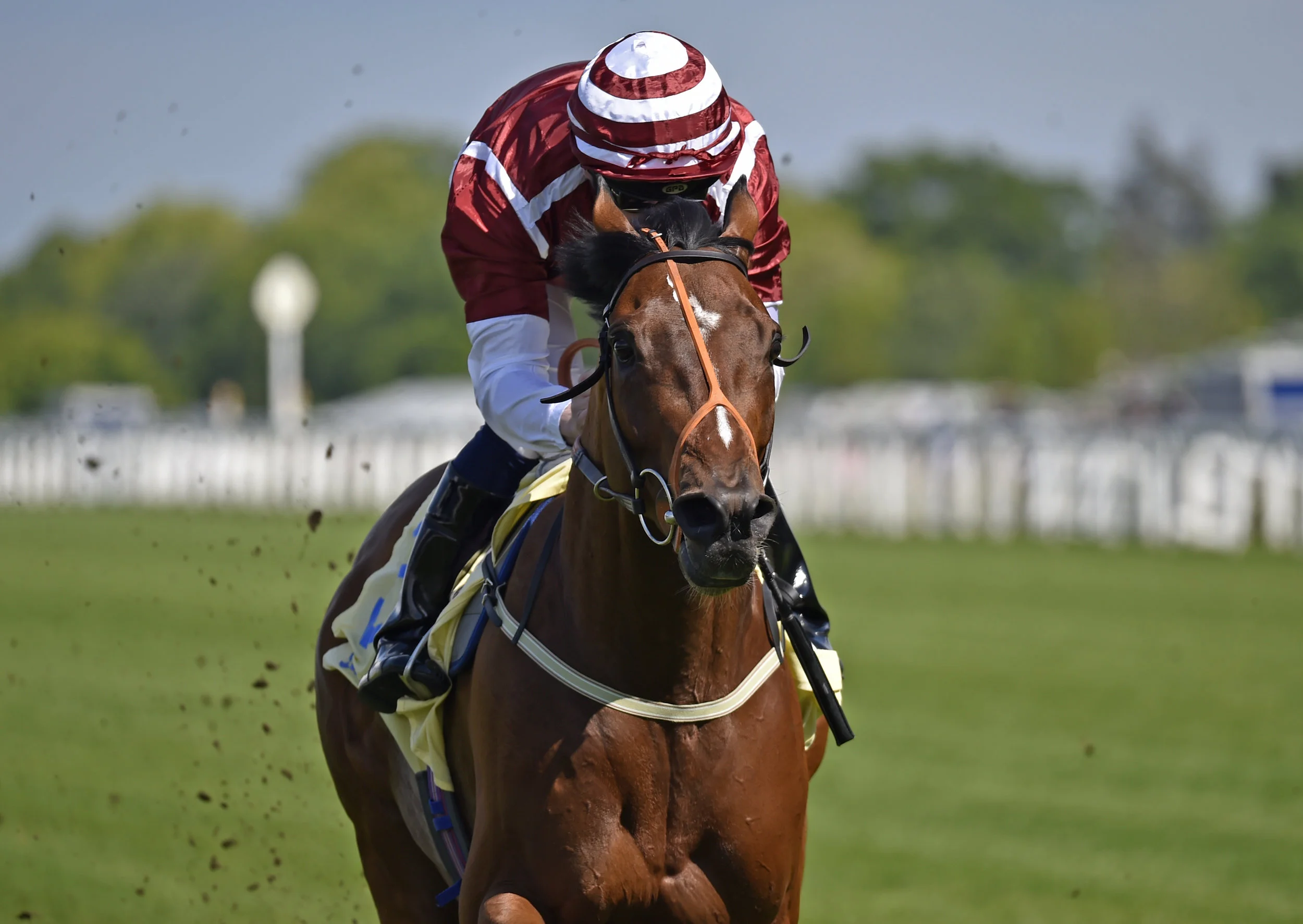Champion Series Blog - Royal Ascot Day 3