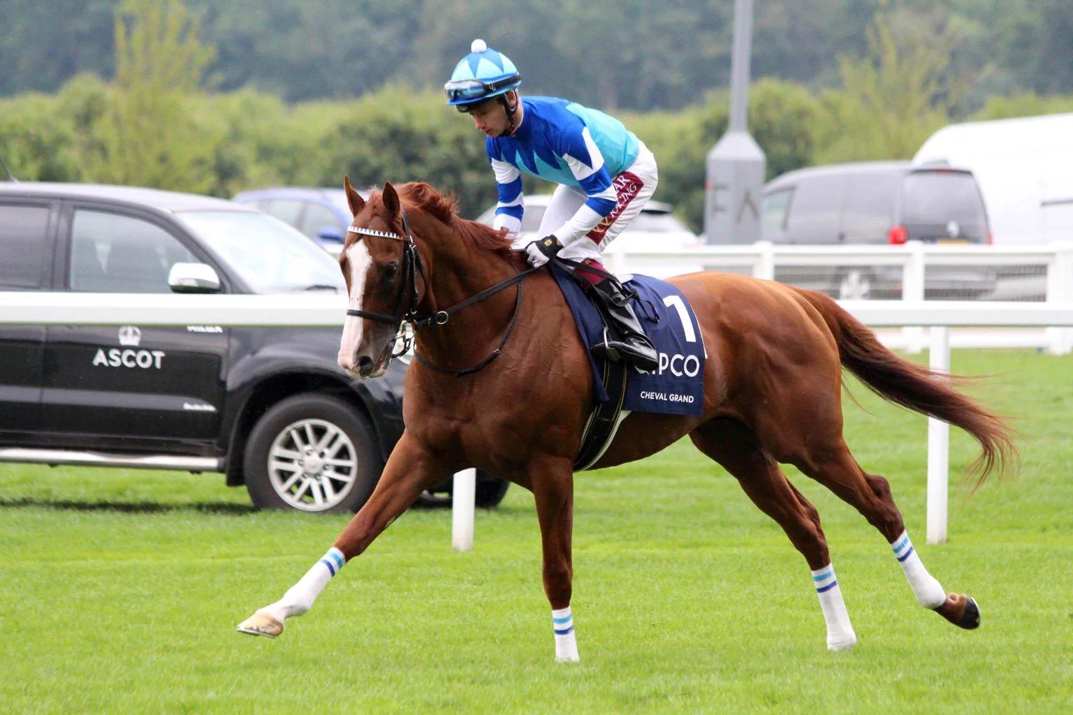 2019 Ebor Festival Preview! 