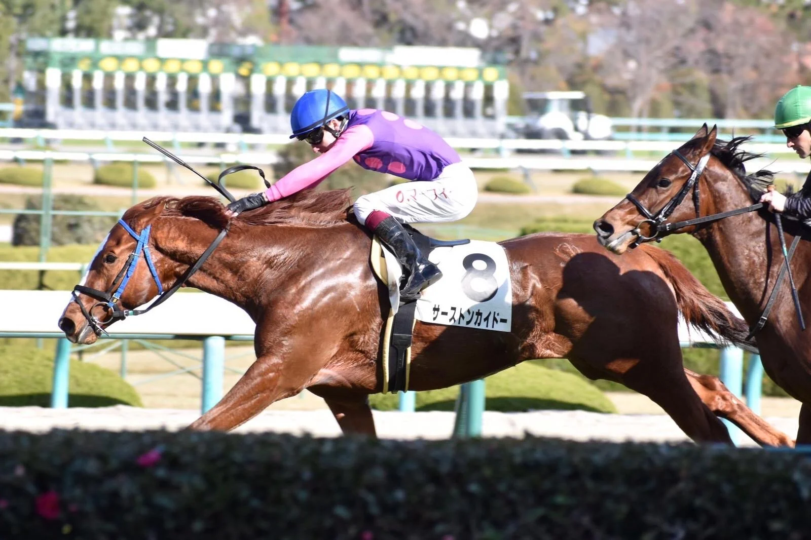 先週の結果: 4勝！