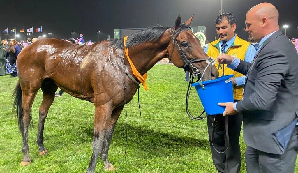 Benbatl runs well for 3rd