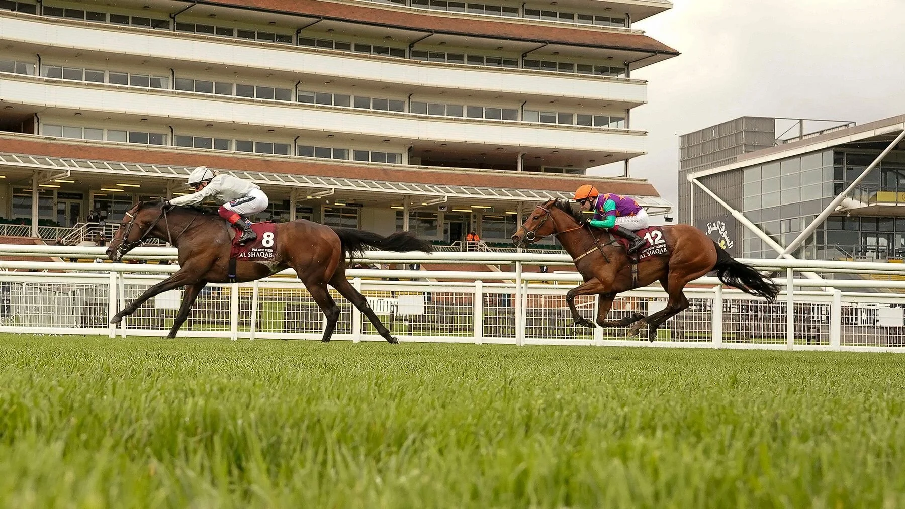 Keeping Busy at Haydock