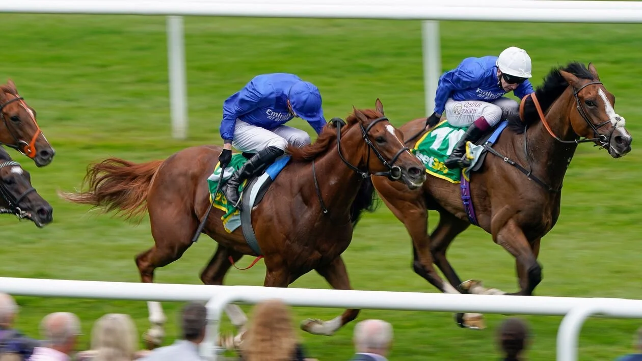 July Festival reflections: Dragon has the pace for the Nunthorpe