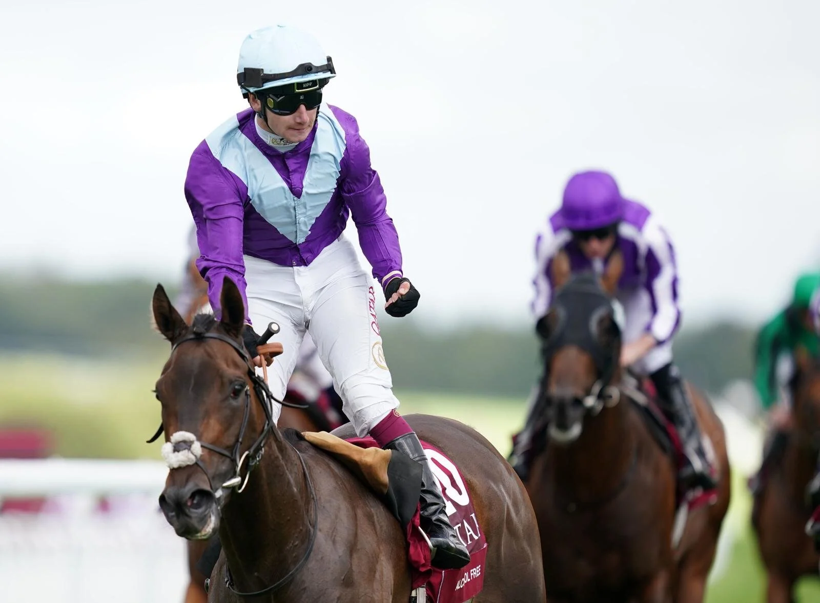 Still on cloud nine after Alcohol Free’s Sussex win