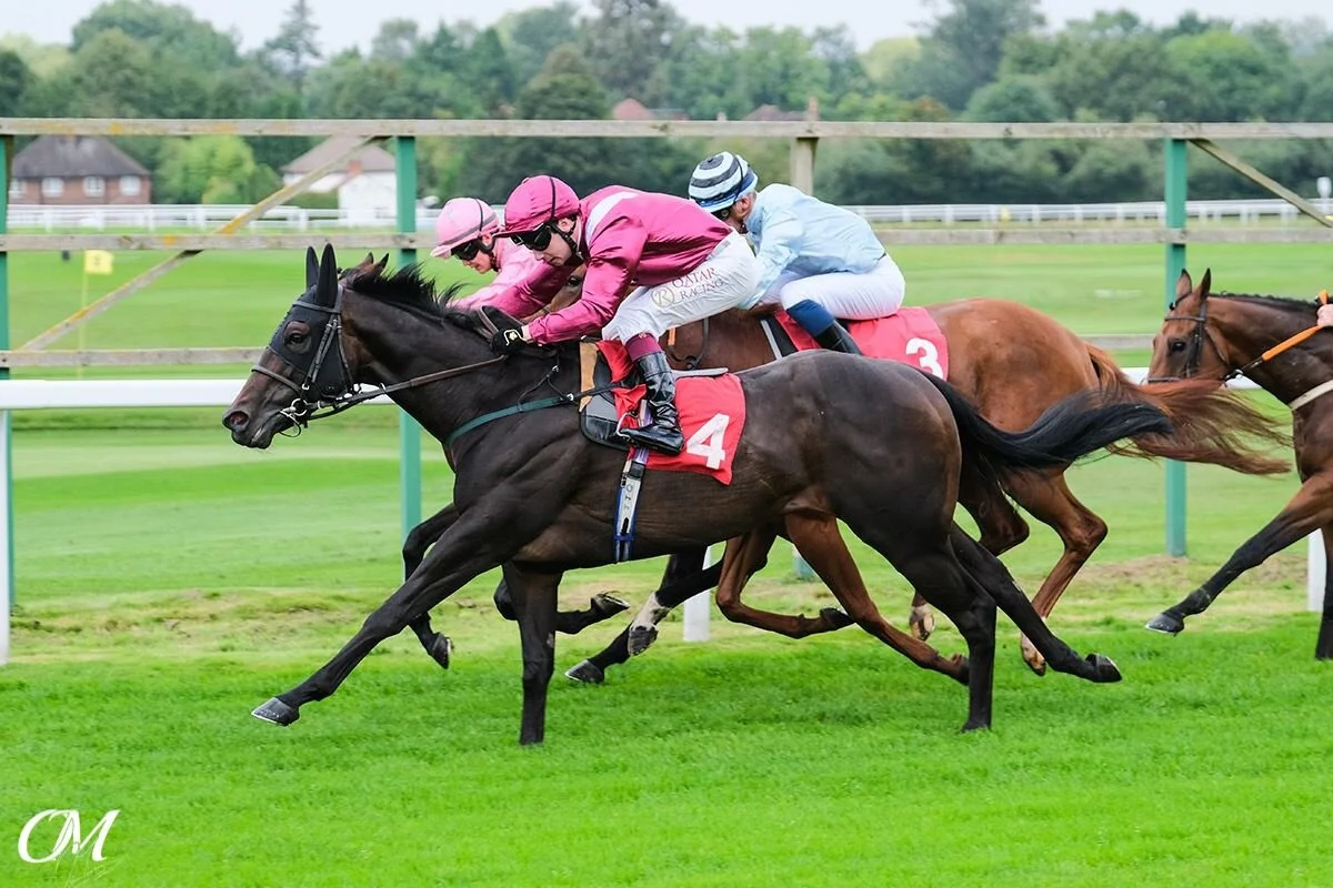 Relishing being back!