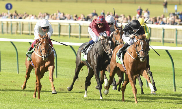 Thursday  rides @ Newmarket! 