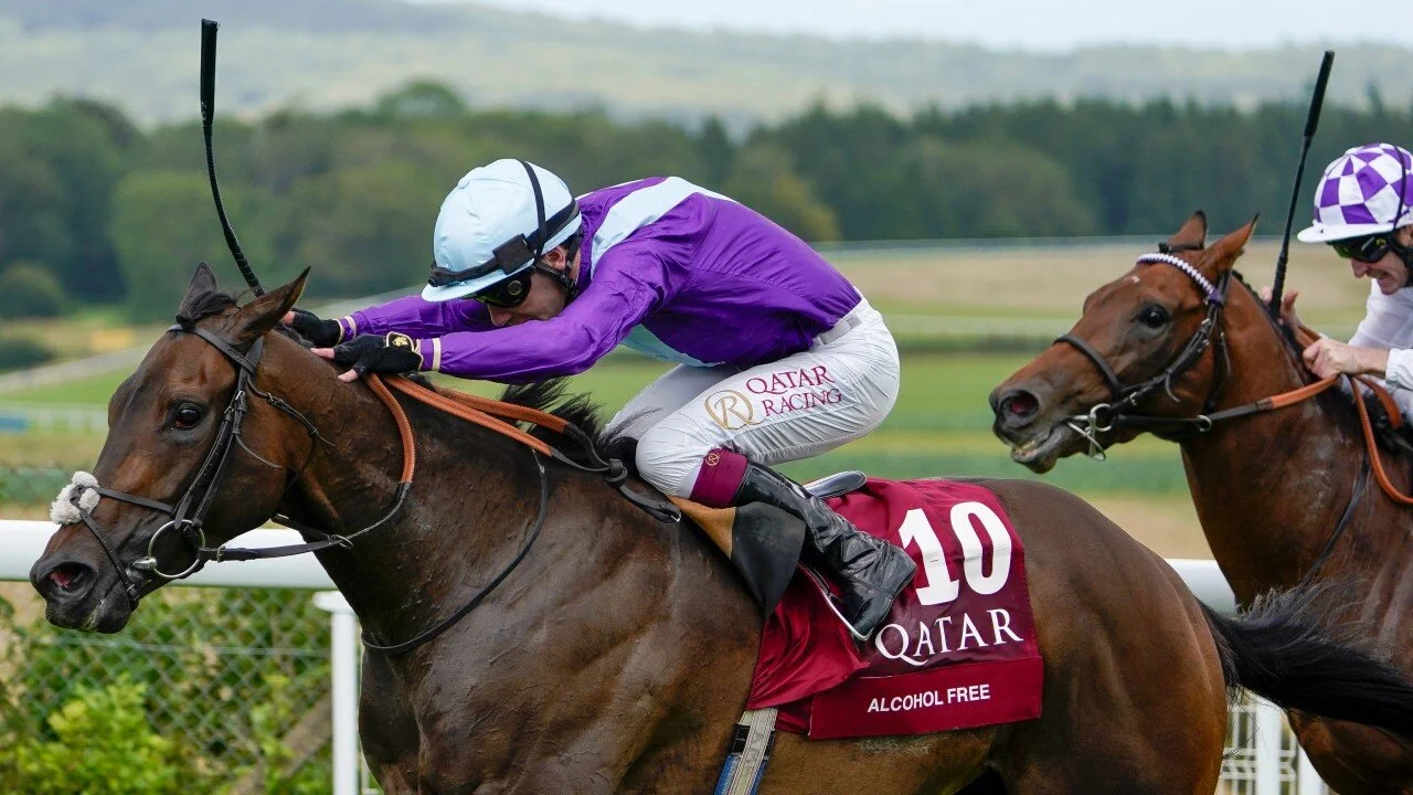 Weekend rides @ Newmarket 