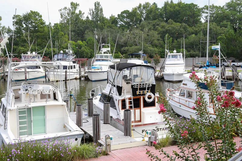 Explore Eastern Shore