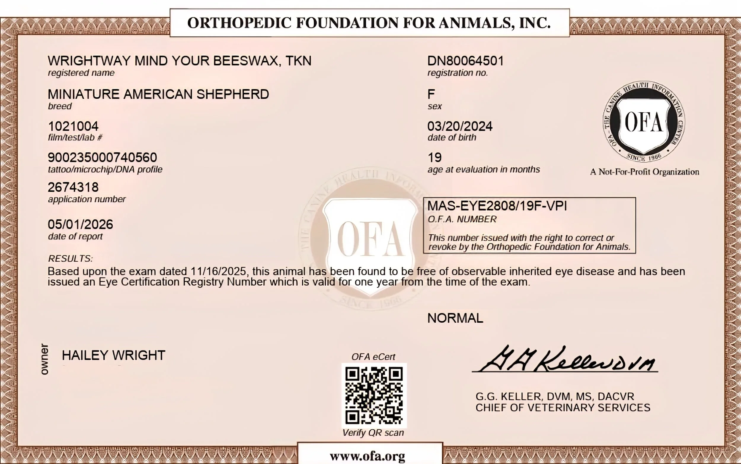 1000018918.jpg