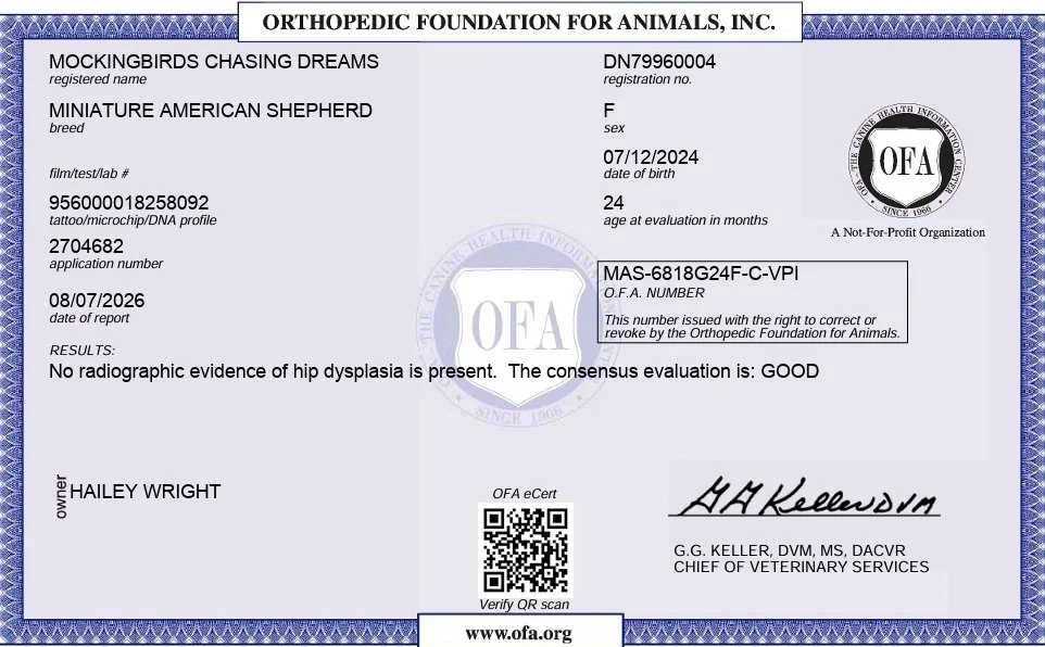 1000020568.jpg