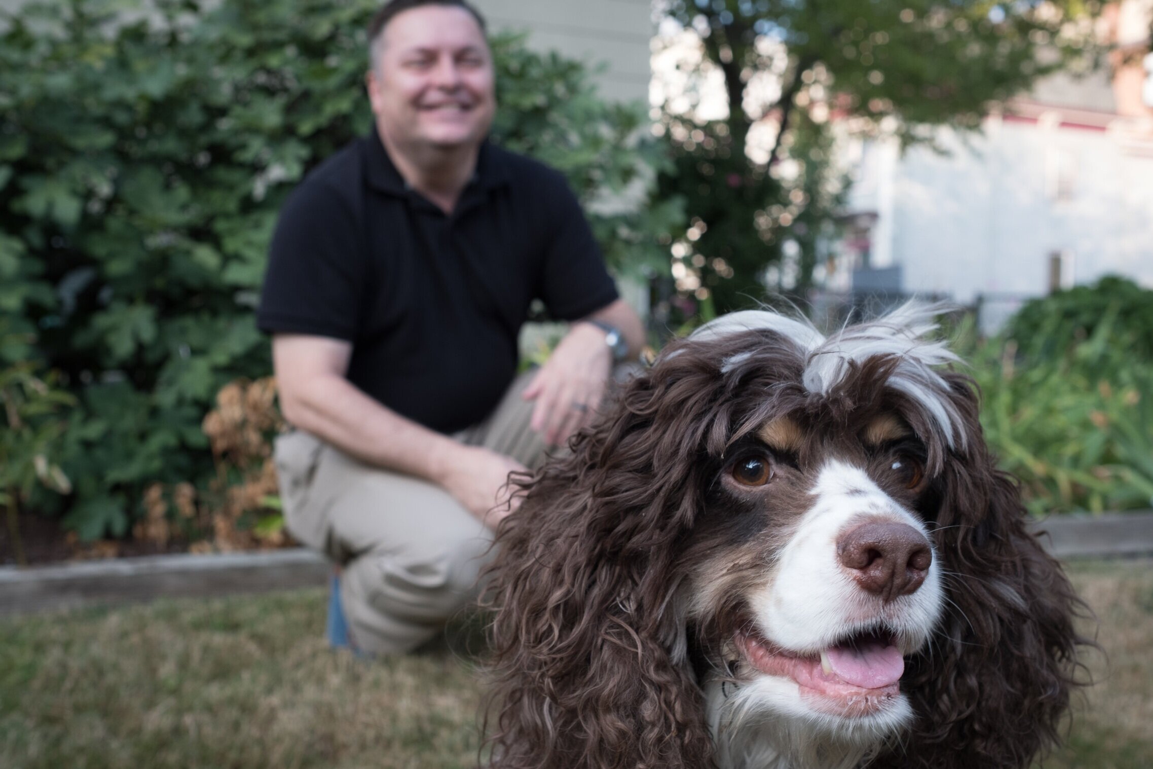 Mass Voters for Animals Endorses Marc!