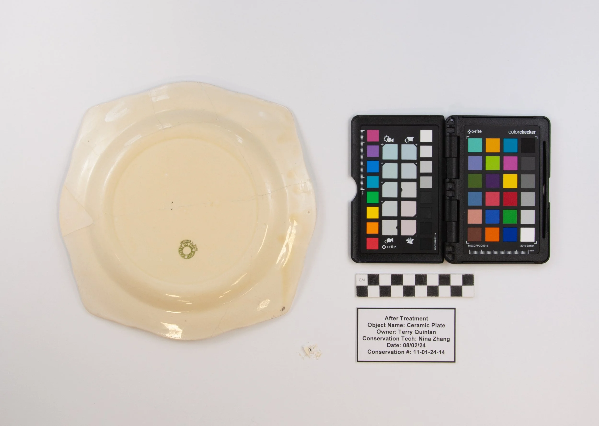 plate-2.jpg