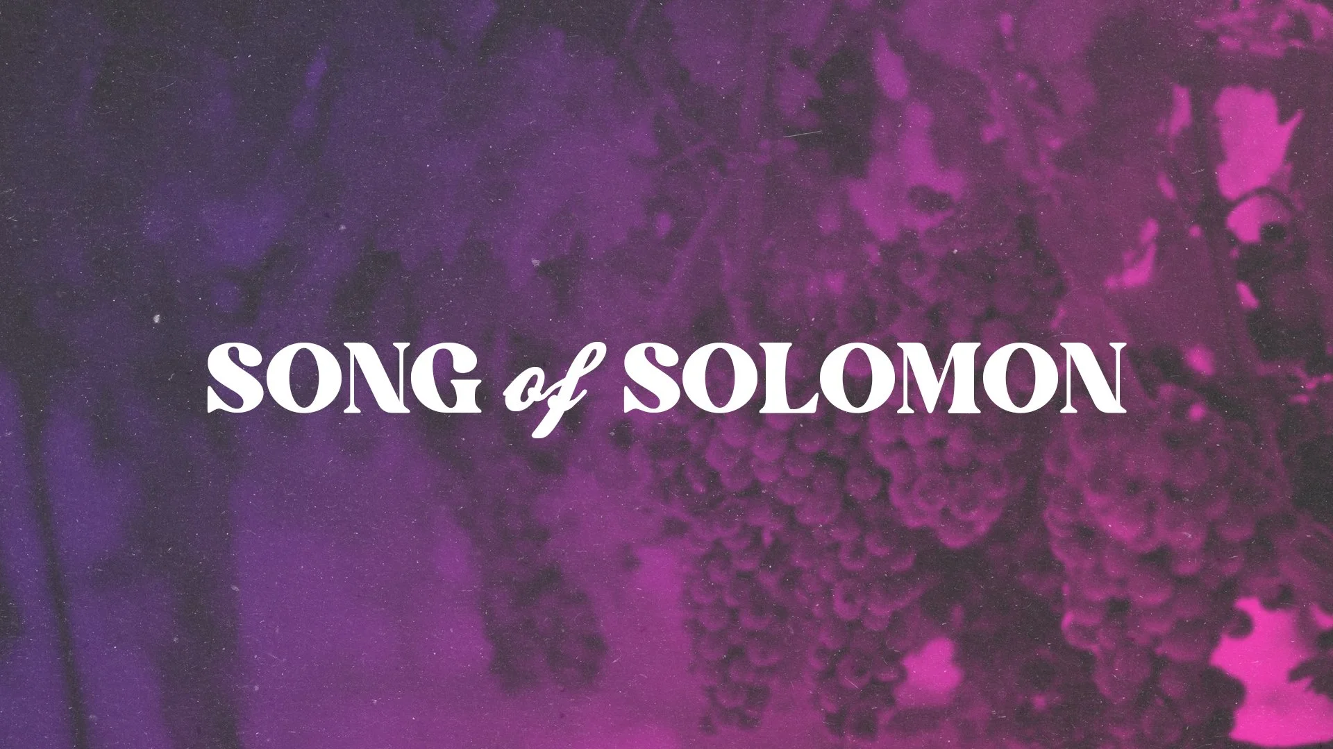 Song of Solomon