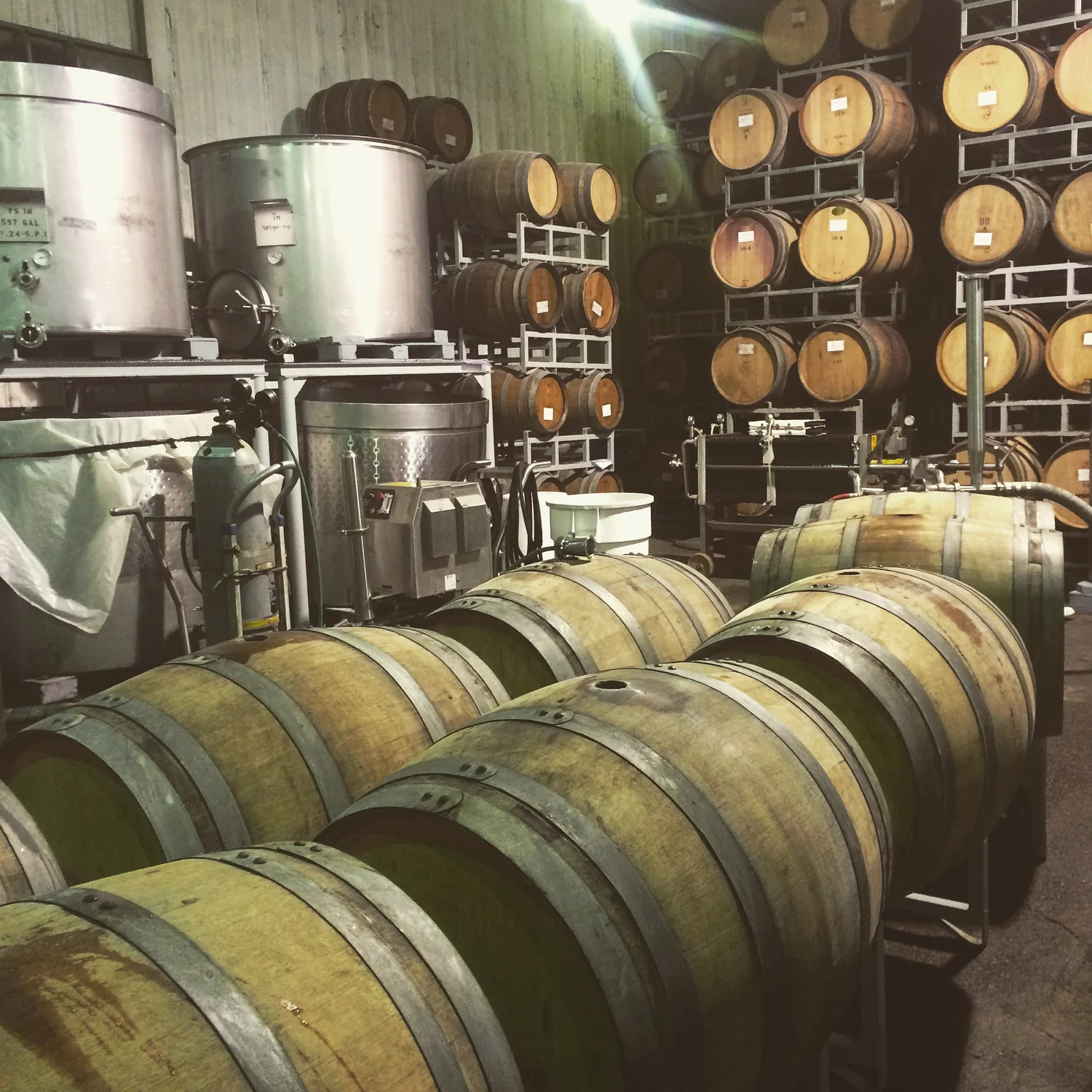 Barrels and stainless-steel tanks inside the Graziano winery, in the official family-history photograph.