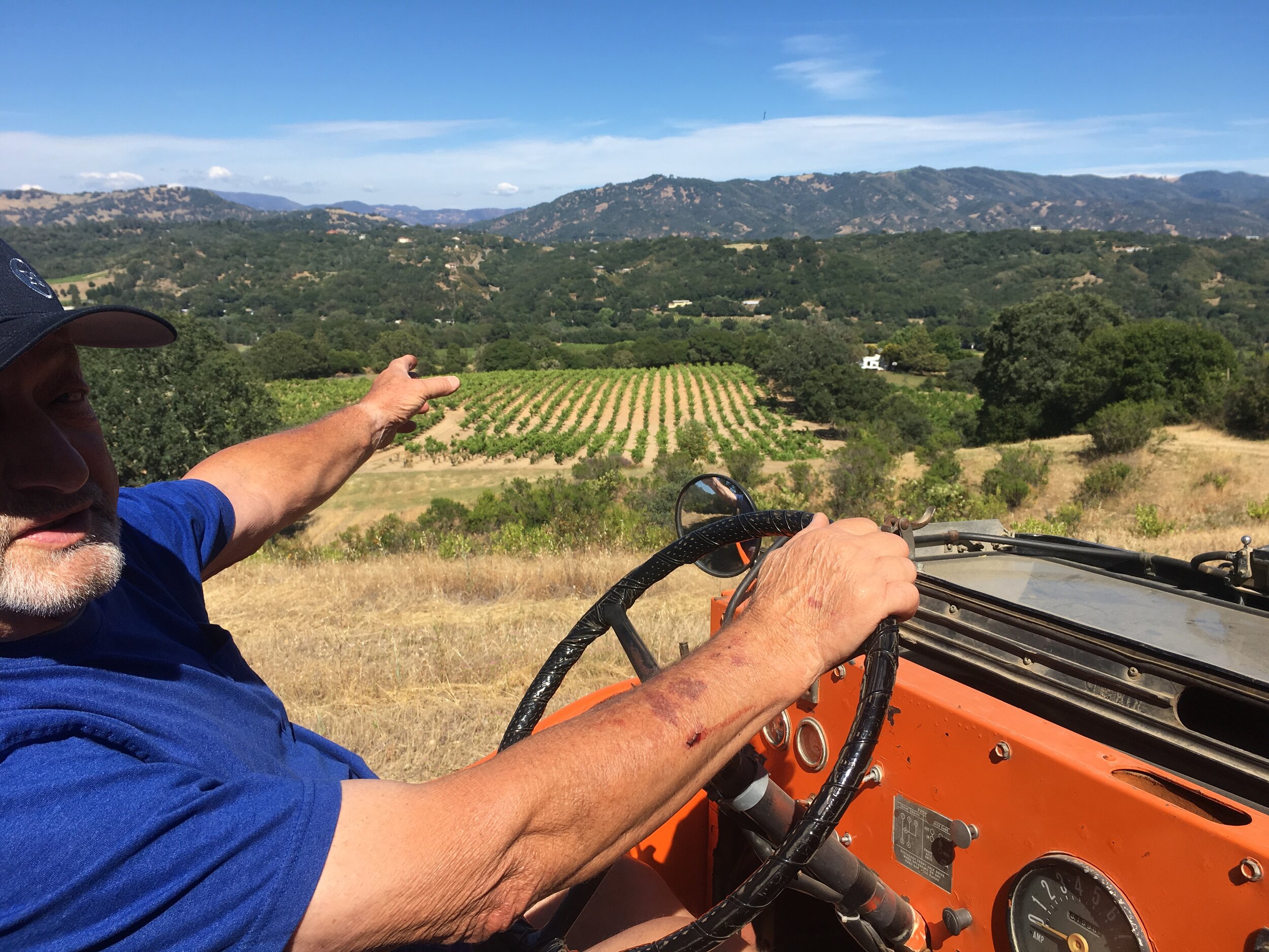 Gil Tournour in old Jeep pointing out old hillside vineyard