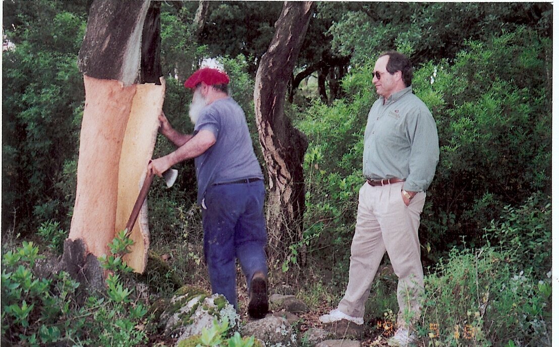 Gregory Graziano and man in cork forest