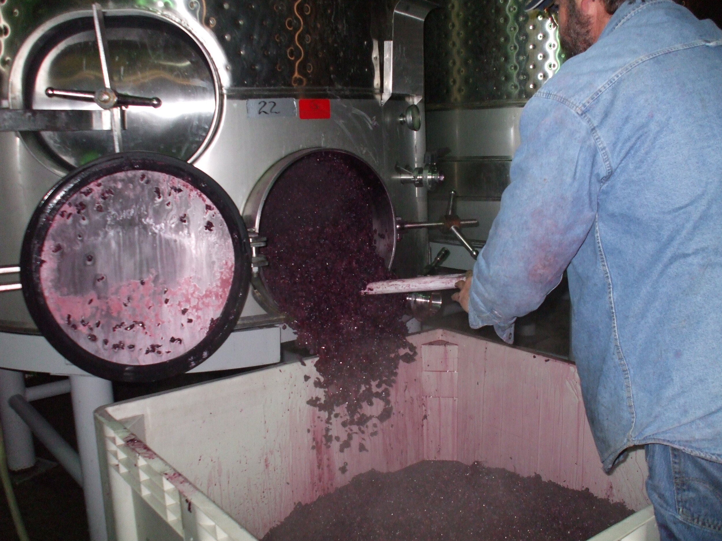 Man pulling grape pumice out of a stainless wine tank 