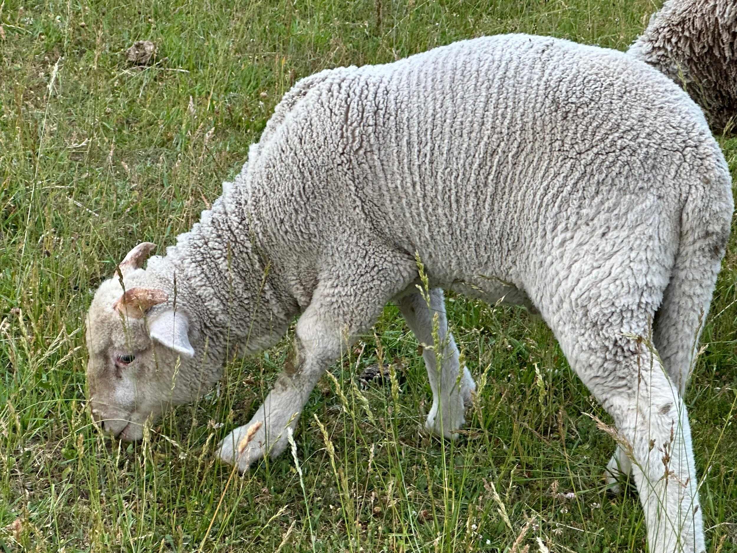 49121678-4374-4873-A3E5-CCD289EAC4C4